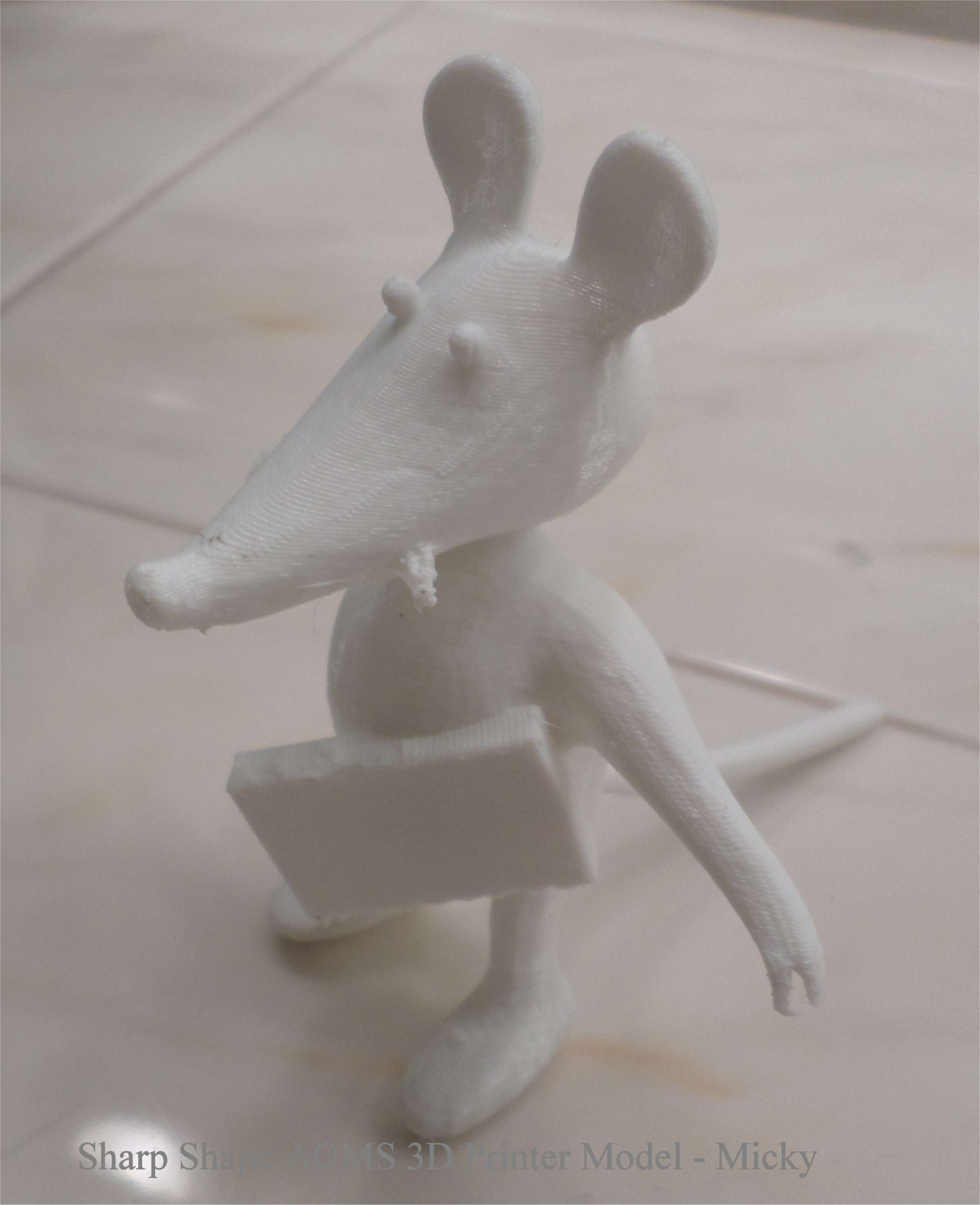 Sharp Shape AOMS 3D Printer Rat Model